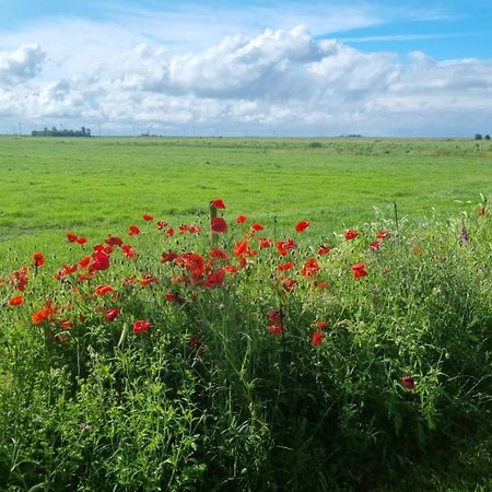 Lyklamastate Nijemirdum Dış mekan fotoğraf
