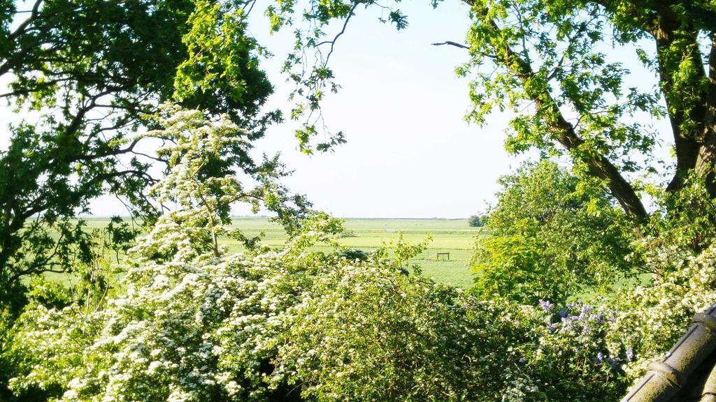 Lyklamastate Nijemirdum Oda fotoğraf