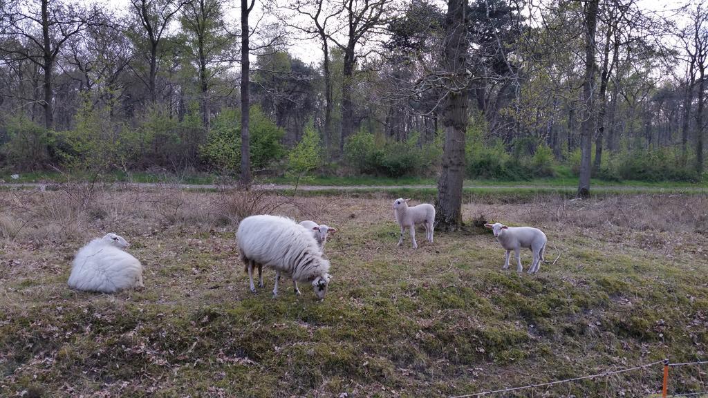 Lyklamastate Nijemirdum Dış mekan fotoğraf